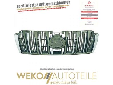 Kühlergitter Diederichs 6675840 für TOYOTA