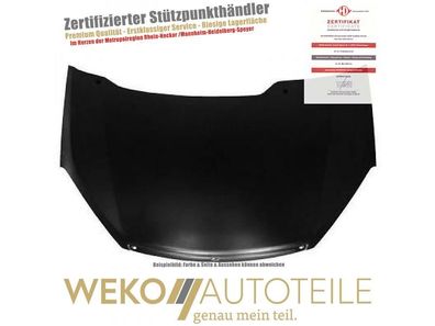 Motorhaube Diederichs 1466000 für FORD