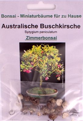 Bonsai - 8 Samen Australische Buschkirsche - Syzygium paniculatum 90119