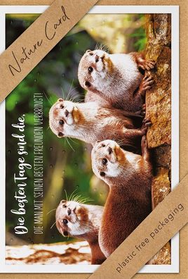 bsb 691038-2 Allgemeine Glückwunschkarte - Natur Card, inkl. Umschlag