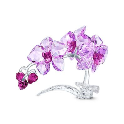 Swarovski Crystal Flowers ORCHID 5520373 Neuheit 2021