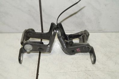 Opel Insignia Scharniere Türscharniere hinten Rechts ES03 A046574 EGZ4