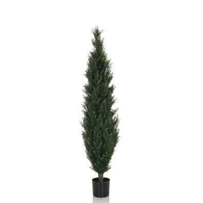 bümö plants Cedrus Kunstbaum - Täuschend echte Zeder, geruchlose Premium Kunstpflanze