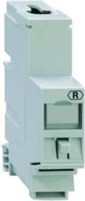 1St. Rutenbeck 13900003 Montageadapter REG für Unibversalmodul Ummareg