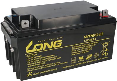 Akku für Panasonic LC-X1265PG 12V 65Ah AGM Batterie VdS