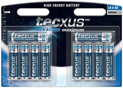 tecxus - LR6 / AA (Mignon) - 1,5 Volt 2700mAh AlMn - 10er Blister