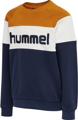 Hummel Kinder Hoodie Claes Sweatshirt Pumpkin Spice