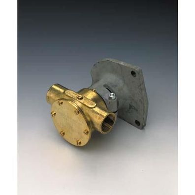 Johnson Impellerpumpe F7B-9 10-24127-1