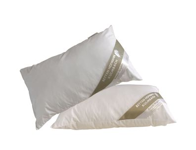 2 Stück Hofmanns Franken Kissen Kopfkissen Nackenkissen 30x50 waschbar 170 g