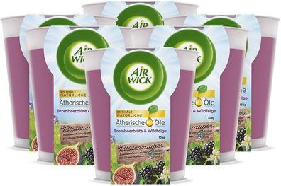 Air Wick Wohlfühl-Duftkerze Brombeere & Cranberry Dekokerzen 6 x 105 g 6er Pack