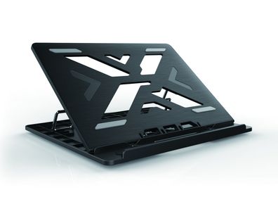 Conceptronic THANA03B Conceptronic 2-Fan Cooling Pad (15,6")/ Ergonomisch