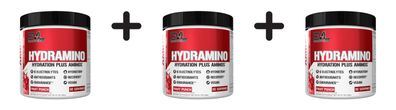 3 x EVL Nutrition Hydramino (30 serv) Fruit Punch