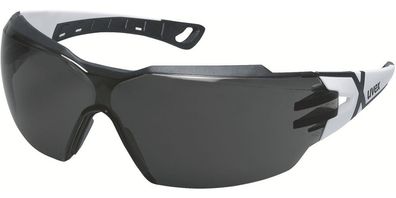 Uvex Schutzbrille 9198 Pheos Cx2 Grau