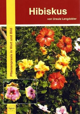 Hibiskus, Ursula Lengdobler