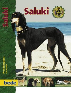 PraxisRatgeber Saluki, Iris Schmidt