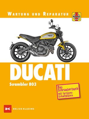 Ducati Scrambler 803, Matthew Coombs