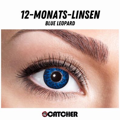 12 Monatslinsen Blue Leopard Blau Dunkelblau Motivlinse