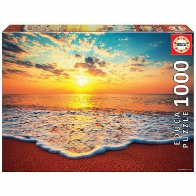 Puzzle Educa (1000 pcs)