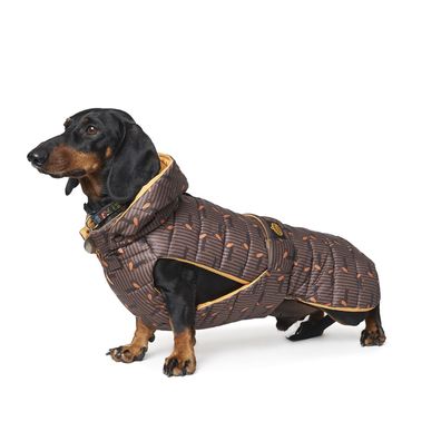 Fashion Dog wasserfester Hunde-Steppmantel speziell für Dackel