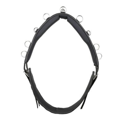 Kieffer Longiergurt Essentials Circle - schwarz - Pony