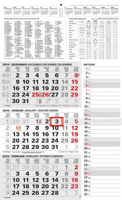 Kombi 3-Monatskalender 2025 großer Wandkalender für Büro Dreimonatskalender