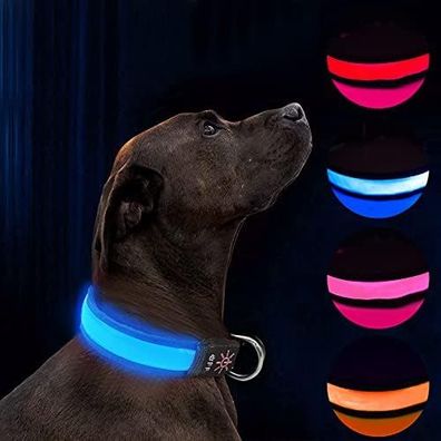 Hundehalsband mit LED-Beleuchtung, wasserdichtes, wiederaufladbares USB-Hundehalsband