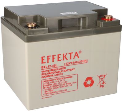 Effekta BTL 12-45L Blei-Vlies Akku AGM VRLA 12V 45Ah