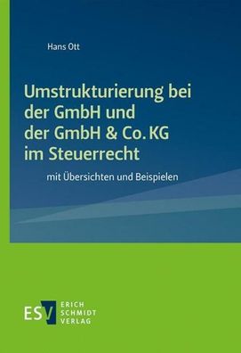 Umstrukturierung bei der GmbH und der GmbH & Co. KG im Steuerrecht: mit ?be