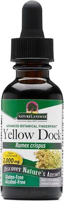 Nature's Answer, Yellow Dock Root, Alkoholfrei, 2000mg, 30ml