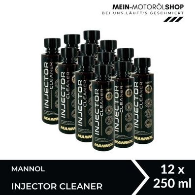 Mannol Injector Cleaner Einspritzdüsenreiniger für Benzinmotoren 12x250 ML