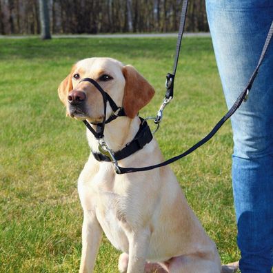 Trixie Top Trainer Hunde Ausbildungsgeschirr, diverse Größen Dog*