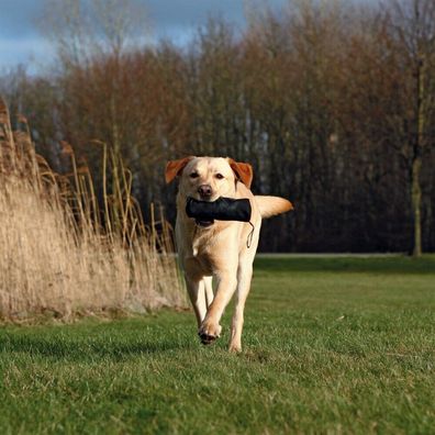 Trixie Hunde Futter-Dummy Futterdummy Dummy Snack leckerlies