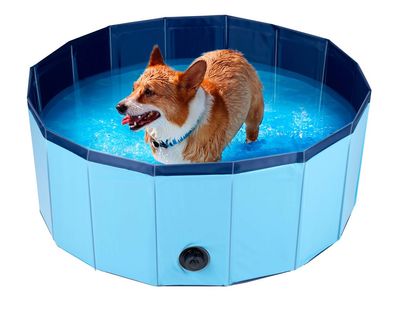 Dog Pool Foldable