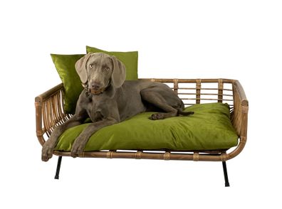 Rattan Sofa MODERN mit Kissen Hundebett Katzenbett -mit trendigem Samtoptikbezug