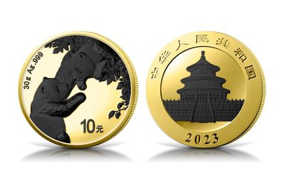 Silbermünze 30 Gramm China Panda 2023 Gilded - Black Platinum 999 Silber