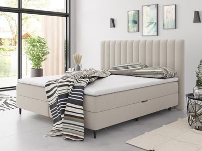 Boxspringbett Tango Stilvoll Bett Größenauswahl Schlafzimmer Doppelbett M24