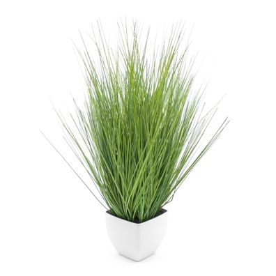 Kunstpflanze Isolepsis Gras grün - 80 cm - Deko Blume Kunst Topf Zimmer Pflanze