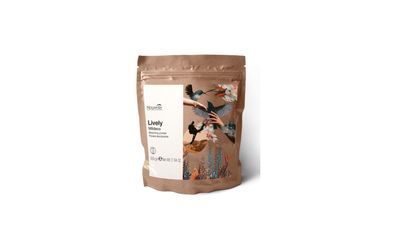 Nouvelle Lively Mildeco Blondierpulver 500 g 7 Tonstufen ammoniakfrei