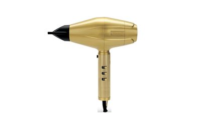 BaByliss Pro Haartrockner 4Artists Digital Dryer gold FX 2200 W