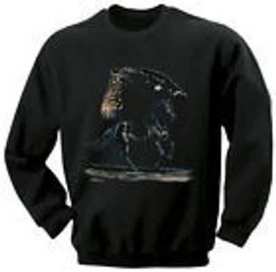 Kinder-Sweat-Shirt mit Print - Warmblut - ©Kollektion Bötzel - 08636 schwarz - Gr