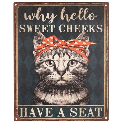 Blechschild 20 x 25 cm Why Hello Sweet Cheeks Have a Seat Retro Vintage Wand