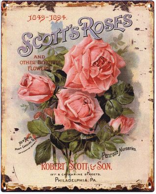 Deko Blechschild Scotts Roses 20 x 25 Vintage-Design Metall Schild