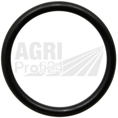 Dichtring Saugseite Hydraulikpumpe für Unimog U 424 U 425 U 427 U 435 Trac 1000