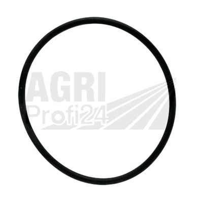 Dichtring Lagerdeckel vorne für Fendt KDW 615, F20G, F20GH