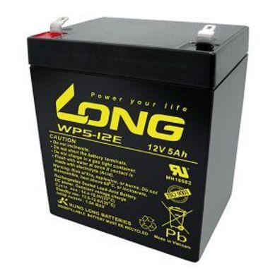 Long - WP5-12E - 12 Volt 5000mAh Pb - zyklenfest - Faston F2