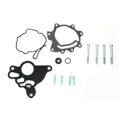 Dichtungssatz Vakuumpumpe Unterdruckpumpe Bremse 2.0 TDI VW Audi Mea Doria