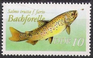 DDR Nr.3096 II ohne Datum aus MH 9 * * Süßwasserfische 1987, postfrisch