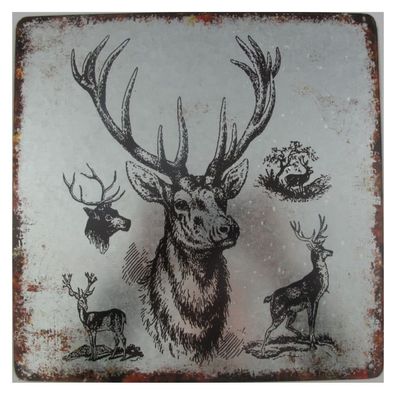 Blechschild, Reklameschild, Hirsch und Hirsche, Jagd Schild 30x30 cm