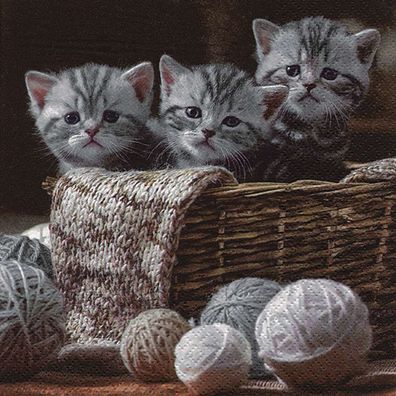 20 Servietten, drei kleine Katzen im Korb, gestreifte Katzenbabys 33x33 cm
