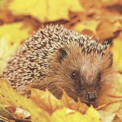 20 Servietten, Igel in Ahornblättern, buntes Herbstlaub mit Igel 33x33 cm